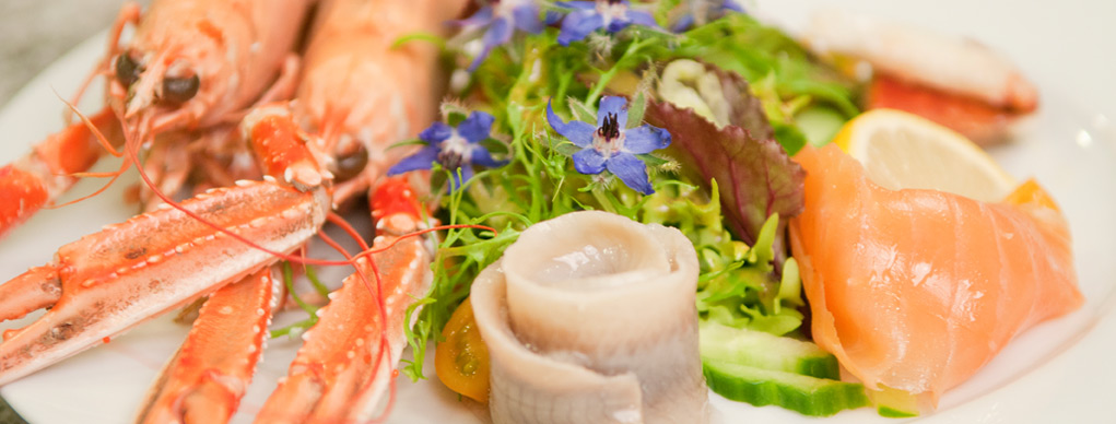 Ardshealach Banner Animation